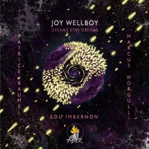 Joy Wellboy - Dreams Stay Dreams [FAY013]