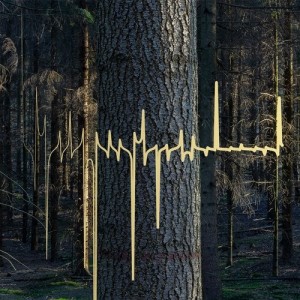 Mollono.Bass - Woods, Tales & Friends (Part Two) [3000GRAD084]