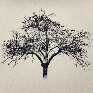 Recondite - Plangent#012 [PLAN012D]