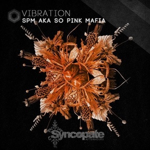 SPM aka So Pink Mafia - Vibration [CAT379665]