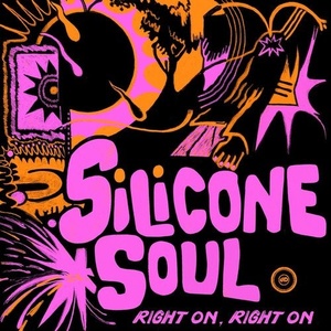 Silicone Soul - Right On, Right On [DRD075D]