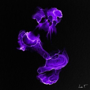 Teho - GV (Clawz SG Remix) [LT0029]