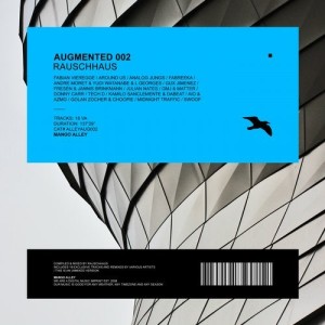 VA - Augmented 002 / Rauschhaus [ALLEYAUG002]