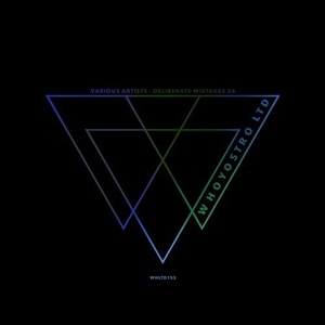 VA - Deliberate Mistakes 26 [WHLTD153]