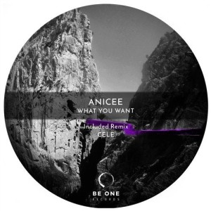 Anicée - What You Want [BOR328]