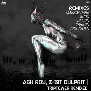 Ash Roy, 8-Bit Culprit - Triptower Remixed [SH091]
