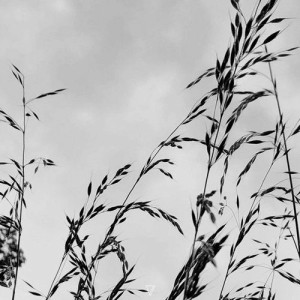 Dio S, Everything Counts - Unity Three [7V091]