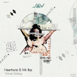 Heerhorst, Mr. Bizz - Virtual Galaxy [JANNOWITZ077]