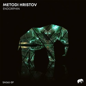 Metodi Hristov - Endorphin [SA065SP]