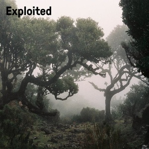 NEAT - It is U [EXPDIGITAL203]