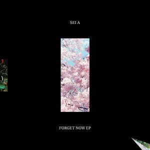 Sei A - Forget Now [AUSCD014S1]