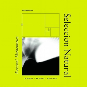 Seleccion Natural - Fictional Mathematics EP [POLEGROUP58]