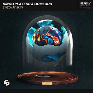 Bingo Players, Oomloud - Shed My Skin [190295165161]