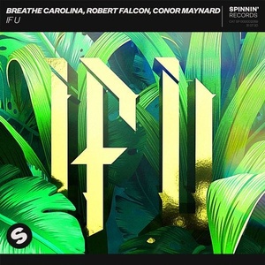 Breathe Carolina, Robert Falcon, Conor Maynard - IF U [190295178819]