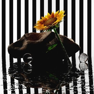 Coloray - Romantics [PERMVAC2061]