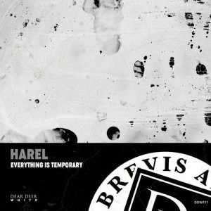 Harel - Everything Is Temporary [DDW111]