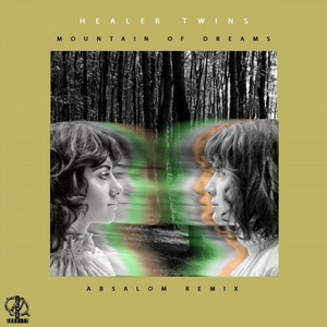 Healer Twins - Mountain Of Dreams [NG0096]