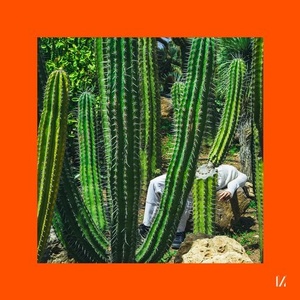 Ivory (IT) - Echoes [MULTINOTES23]