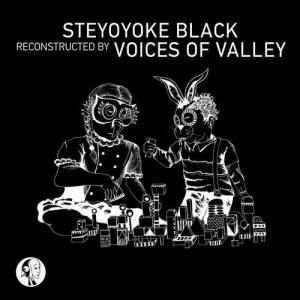 Nick Devon, Voices of valley - Steyoyoke Black Reconstructed [SYYKBLK060]