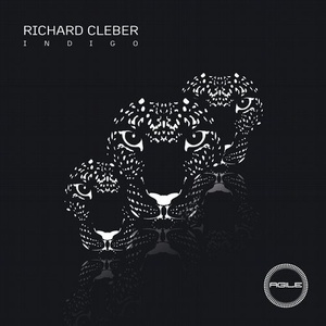 Richard Cleber - Indigo [AGILE113]