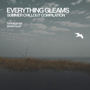 VA - Everything Gleams [ALLEY126]