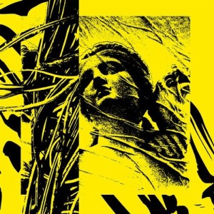 Zoo Brazil - Outputs / Lions [CLIPP162]