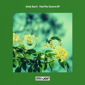 Andy Bach - Feel The Groove [PR2020553]