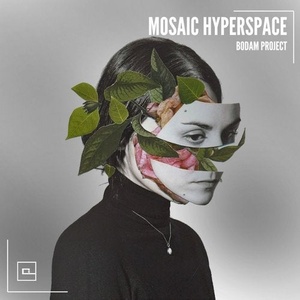 Bodam Project - Mosaic Hyperspace [CRTS80]
