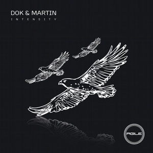 Dok & Martin - Intensity [AGILE115]
