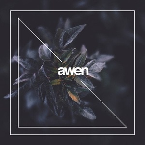 Kadhem - In and Out of Love [AWEN113]