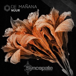 Nuur - De Mañana [CAT400138]