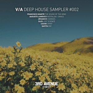 VA - Deep House Sampler 002 [3AV214]