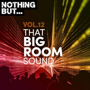 VA - Nothing But... That Big Room Sound, Vol. 12 [NBTBRS12]