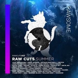 VA - RAW CUTS SUMMER [RAWCUTS003]