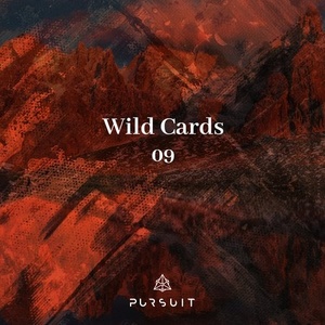 VA - Wild Cards 09 [PRST036]