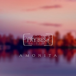 Amonita - Wisteria EP [TRY022]
