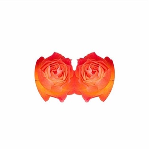 Charlotte Isabelle - Bad Rocks [IABLLTD001]