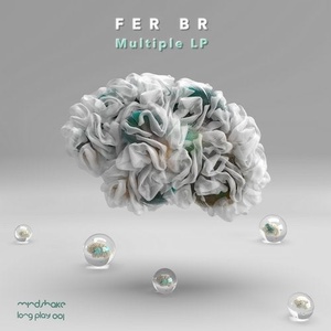 Fer BR - Multiple [MINDSHAKELP001]
