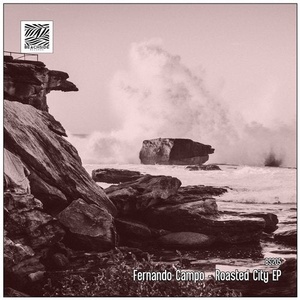 Fernando Campo - Roasted City EP [BS205]