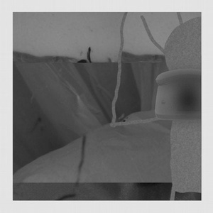 Lexer - Signs Of A Swarm [RDKN19]