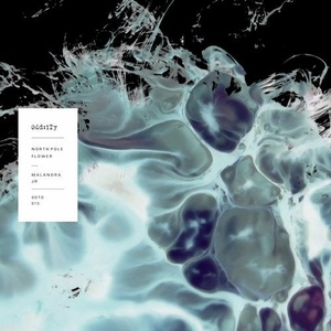 Malandra Jr. - North Pole Flower - EP [ODT015]