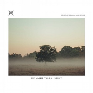 Midnight Tales - Stray [STIG177]