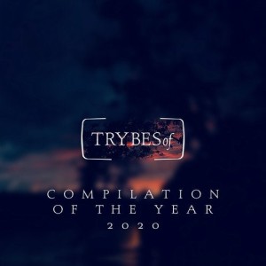 VA - Compilation of the Year 2020 [TRY021]