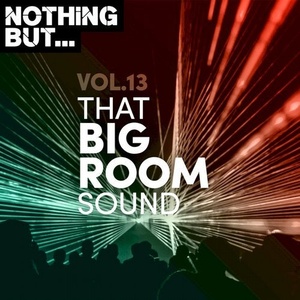 VA - Nothing But... That Big Room Sound, Vol. 13 [NBTBRS13]