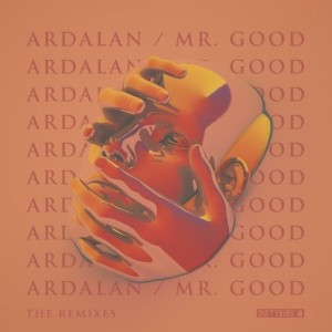 Ardalan - Mr. Good Remixes [DB231C]