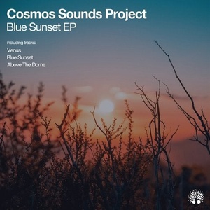 Cosmos Sounds Project - Blue Sunset [ETREE388]