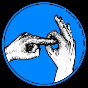 Dino Saints - Acid Things [RSH211]