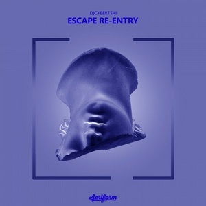 Djcybertsai - Escape Re-Entry [ARF219]