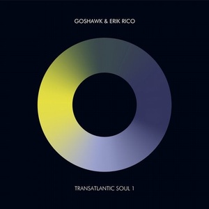 Goshawk, Erik Rico, Matthew Hunt - Transatlantic Soul 1 [195497623518]