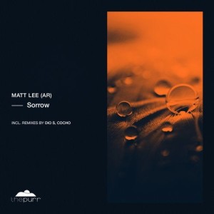 Matt Lee (AR) - Sorrow [PURR263]